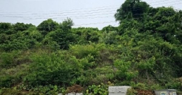 전남광주통합특별시 완도군 완도읍 군내리 307-2 전 경매 물건 이미지