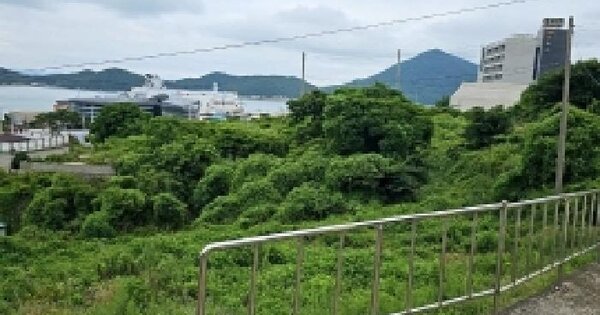 전남광주통합특별시 완도군 완도읍 군내리 307-41 대지 경매 물건 이미지