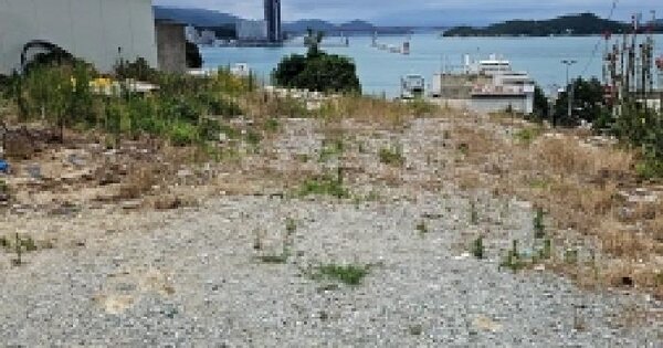 전남광주통합특별시 완도군 완도읍 군내리 312-23 전 경매 물건 이미지