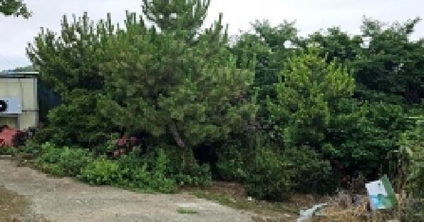 전남광주통합특별시 완도군 완도읍 군내리 307-38 전 경매 물건 이미지