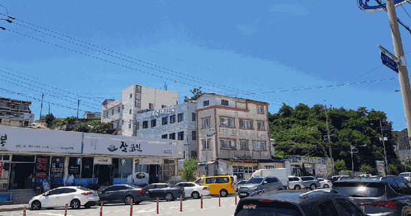 전남광주통합특별시 완도군 완도읍 군내리 308 대지 경매 물건 이미지