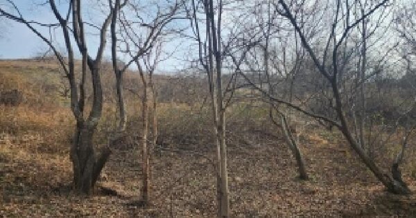 전라남도 구례군 구례읍 계산리 1502-1 전 경매 물건 이미지