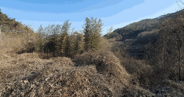 전라남도 곡성군 석곡면 연반리 1055 임야 경매 물건 이미지