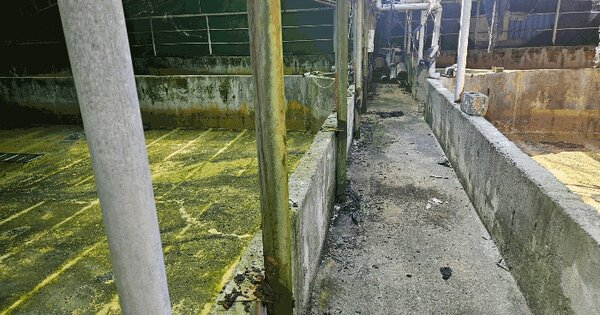 전라남도 완도군 약산면 해동리 727-7 대지 경매 물건 이미지