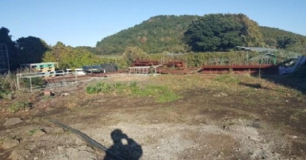 제주특별자치도 제주시 구좌읍 종달리 4369-5 전 경매 물건 이미지