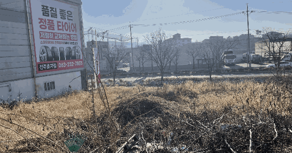 전북특별자치도 전주시 완산구 효자동2가1196-7 대지 경매 물건 이미지