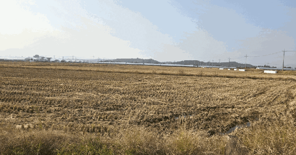 광주광역시 남구 화장동 1086-10 답 경매 물건 이미지