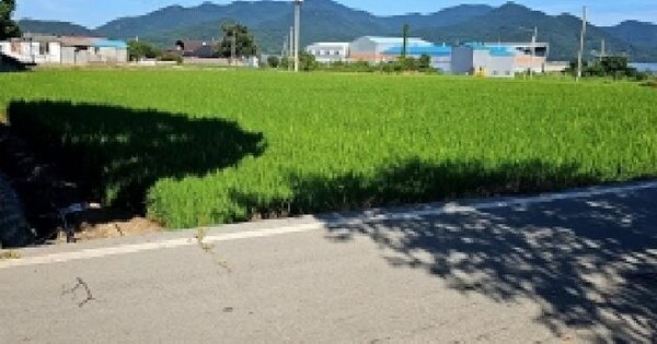 전남광주통합특별시 해남군 북평면 서홍리 335-1 답 경매 물건 이미지