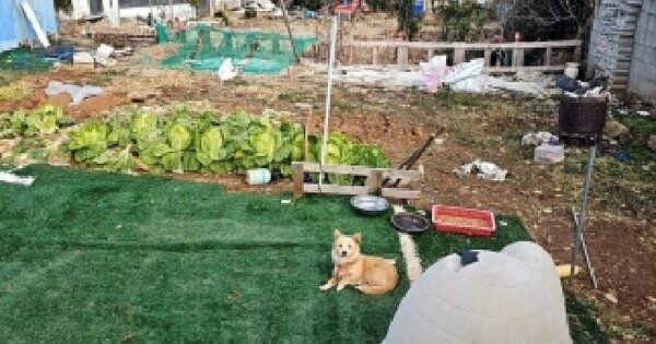 전남광주통합특별시 해남군 산이면 대진리 472-1 대지 경매 물건 이미지