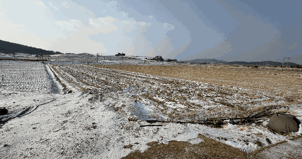 전남광주통합특별시 무안군 해제면 만풍리 1122-5 답 경매 물건 이미지
