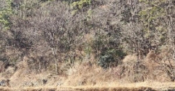 전남광주통합특별시 여수시 만흥동 1357 답 경매 물건 이미지