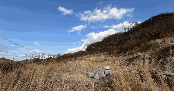 전라남도 화순군 동면 복암리 459-23 과수원 경매 물건 이미지