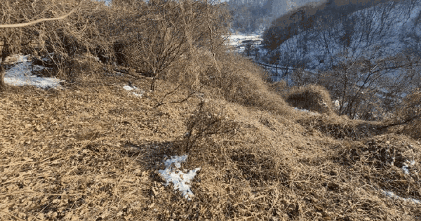 강원특별자치도 춘천시 남산면 수동리 562-7 전 경매 물건 이미지