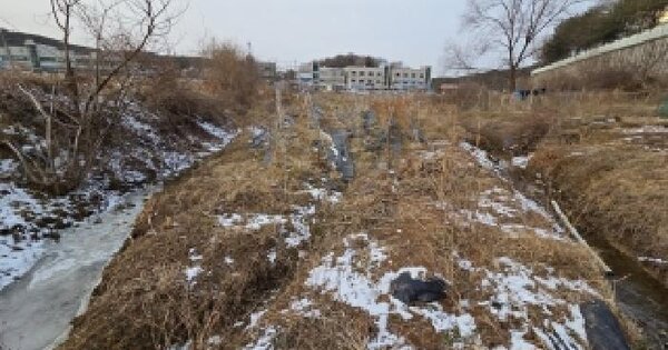 충청남도 당진시 송악읍 중흥리 235-3 답 경매 물건 이미지