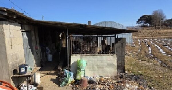 충청남도 당진시 신평면 초대리 369-2  동물 및 식물 관련시설 경매 물건 이미지