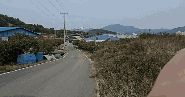 충청북도 음성군 음성읍 신천리 867 전 경매 물건 이미지