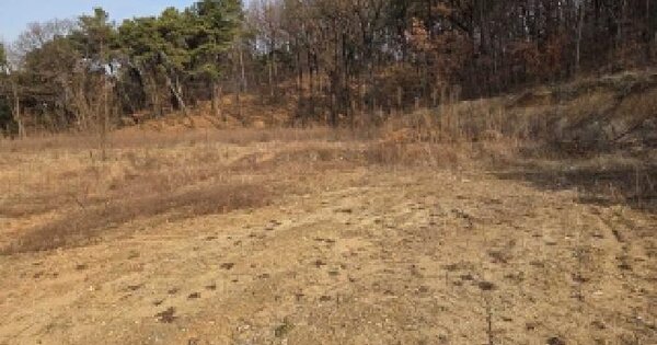 충청남도 아산시 방축동 592-55 임야 경매 물건 이미지