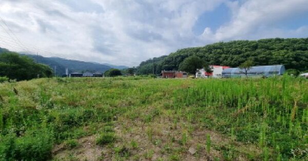 대전광역시 서구 흑석동 465-10 답 경매 물건 이미지