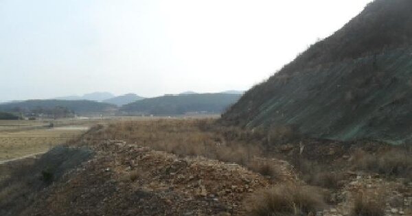 충청남도 태안군 원북면 장대리 919-25 임야 경매 물건 이미지