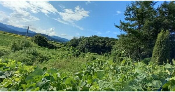 강원특별자치도 철원군 갈말읍 지포리 397 답 경매 물건 이미지