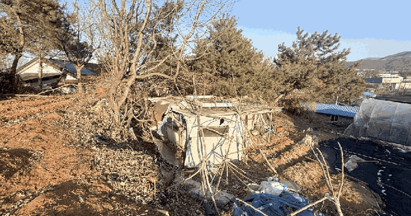 충청남도 천안시 서북구 입장면 효계리 60-12 대지 경매 물건 이미지