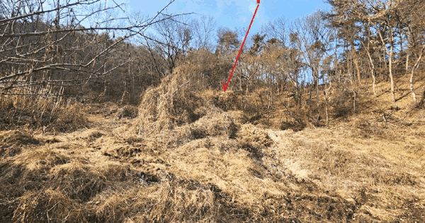 경기도 광주시 남종면 삼성리 267 대지 경매 물건 이미지