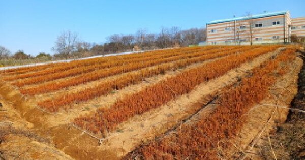 충청남도 서산시 음암면 율목리 산13-3 임야 경매 물건 이미지