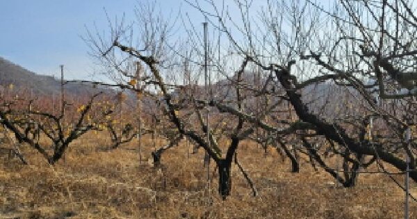 충청북도 음성군 감곡면 영산리 46 전 경매 물건 이미지