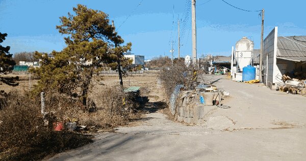 충청남도 논산시 연무읍 안심리 297-1 답 경매 물건 이미지