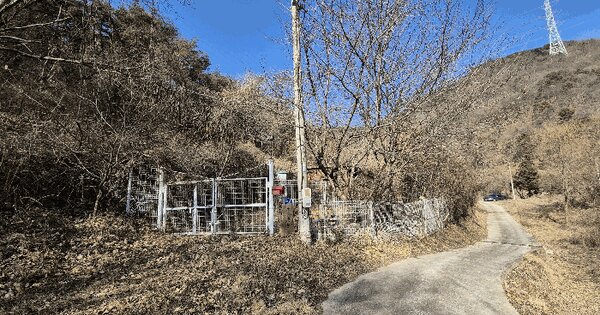 경상남도 밀양시 청도면 요고리 929 답 경매 물건 이미지