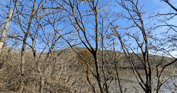 충청남도 홍성군 갈산면 가곡리 산9-2 임야 경매 물건 이미지