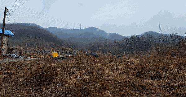 충청북도 충주시 노은면 신효리 산70-1 임야 경매 물건 이미지