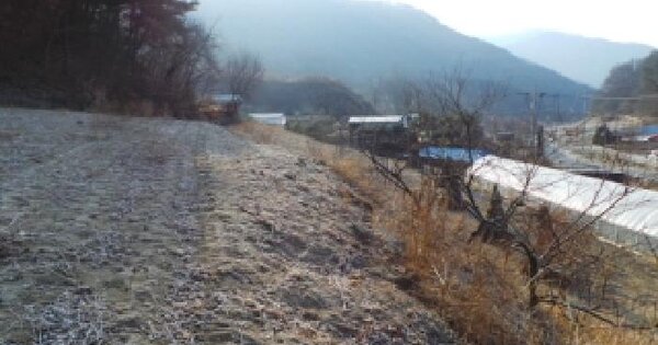 강원특별자치도 영월군 산솔면 녹전리 720 전 경매 물건 이미지