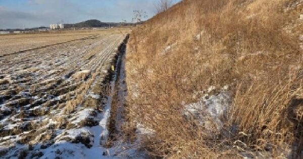 충청남도 아산시 신창면 가내리 713 답 경매 물건 이미지