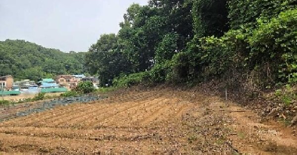 충청남도 아산시 배방읍 갈매리 159 전 경매 물건 이미지