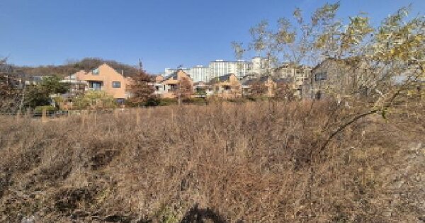 세종특별자치시 고운동 901 대지 경매 물건 이미지
