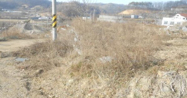 세종특별자치시 전의면 서정리 80 대지 경매 물건 이미지
