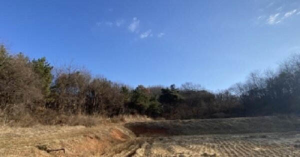 충청남도 당진시 면천면 문봉리 273-10 임야 경매 물건 이미지