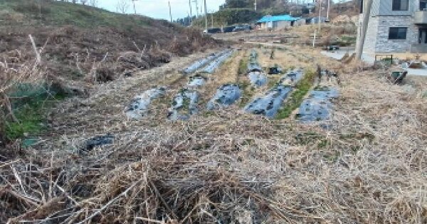 충청남도 서산시 대산읍 오지리 673 전 경매 물건 이미지