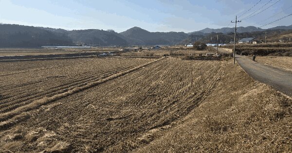 충청남도 부여군 홍산면 정동리 546-2 답 경매 물건 이미지