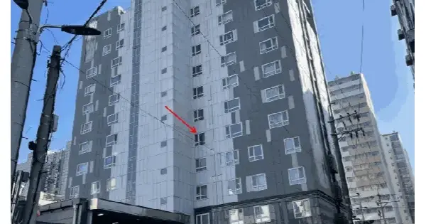 서울특별시 영등포구 양평동6가 8 펫앤스테이  제5층 제503호 오피스텔 경매 물건 이미지