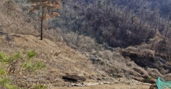 경기도 양평군 양서면 목왕리 615-17 전 경매 물건 이미지