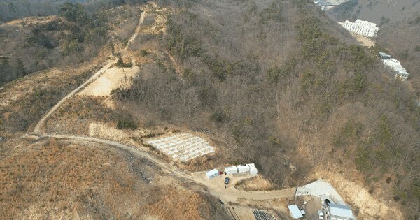 세종특별자치시 장군면 금암리 391-21 임야 경매 물건 이미지