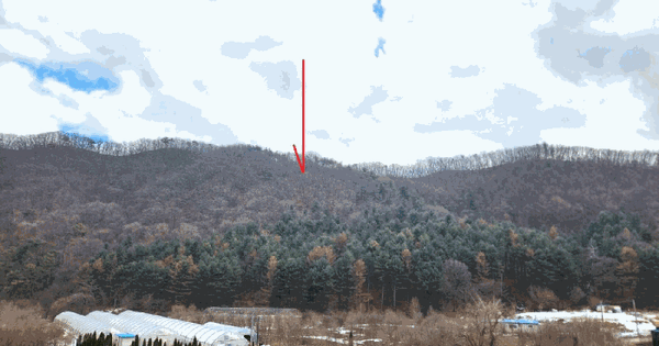 경기도 광주시 도척면 추곡리 산83-3 임야 경매 물건 이미지