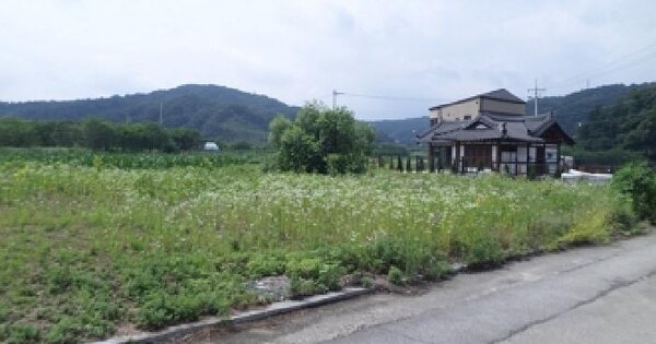 물건 대표 이미지