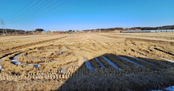 충청남도 당진시 석문면 장고항리 355-5 답 경매 물건 이미지
