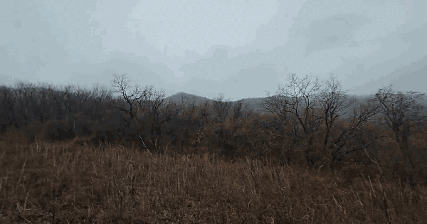 충청북도 제천시 덕산면 수산리 62 전 경매 물건 이미지