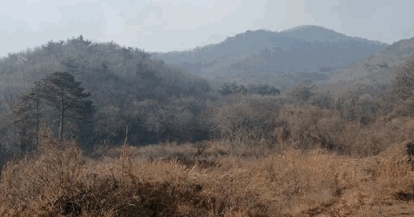 경기도 안성시 죽산면 칠장리 산82-28 임야 경매 물건 이미지