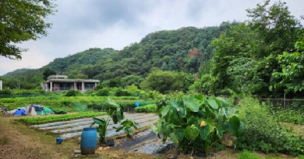 경기도 남양주시 와부읍 월문리 140-1 전 경매 물건 이미지