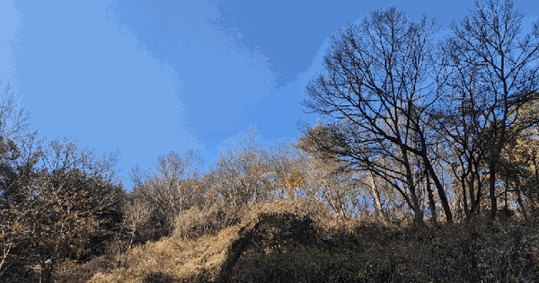 경기도 광주시 초월읍 도평리 198-13 임야 경매 물건 이미지